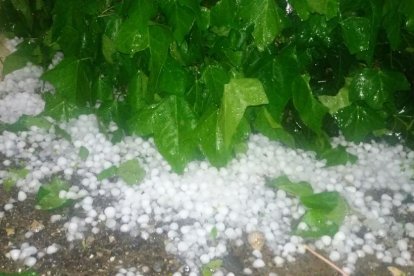 Imatges captades ahir a Almacelles i Sucs en les quals es pot apreciar que la tempesta de pedra va descarregar amb força.