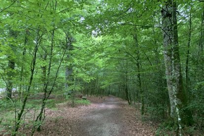 Décimo tercera edición del concurso de fotos de vacaciones de verano