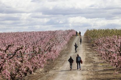 Activitats a Aitona, la Granja, Seròs, Soses i Castelldans