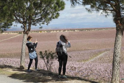 Activitats a Aitona, la Granja, Seròs, Soses i Castelldans