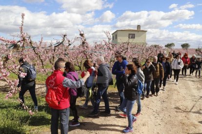 Activitats a Aitona, la Granja, Seròs, Soses i Castelldans