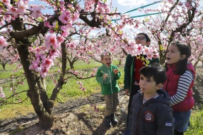 Activitats a Aitona, la Granja, Seròs, Soses i Castelldans