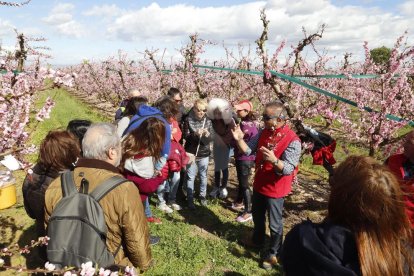 Activitats a Aitona, la Granja, Seròs, Soses i Castelldans