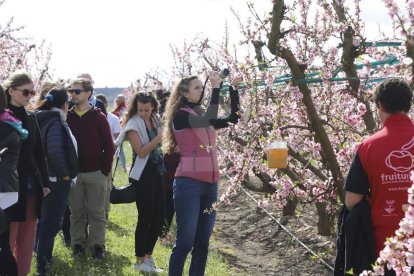 Activitats a Aitona, la Granja, Seròs, Soses i Castelldans