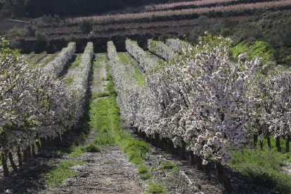 Activitats a Aitona, la Granja, Seròs, Soses i Castelldans