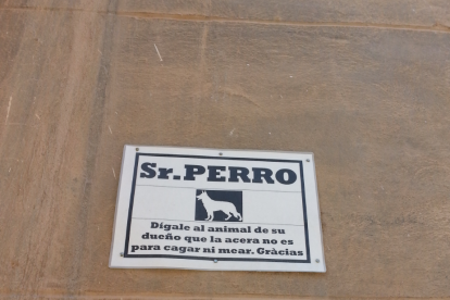 Fotos de cartells, senyals de trànsit o notificacions divertides.