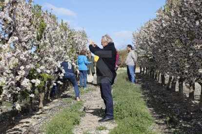 Activitats a Aitona, la Granja, Seròs, Soses i Castelldans