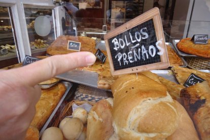 Manel Fregola Navarro