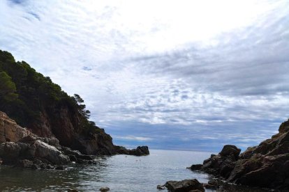 Laura Sanjuan Matons