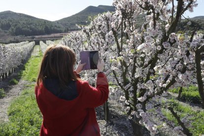 Activitats a Aitona, la Granja, Seròs, Soses i Castelldans