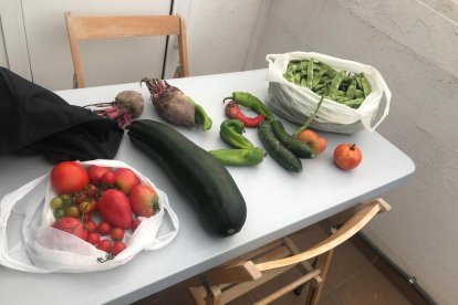 Arnau Eroles Companys