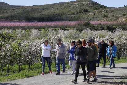 Activitats a Aitona, la Granja, Seròs, Soses i Castelldans