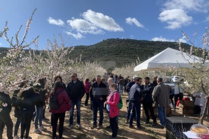 Activitats a Aitona, la Granja, Seròs, Soses i Castelldans