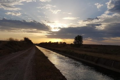 ALEX SERRET BUSTAMANTE