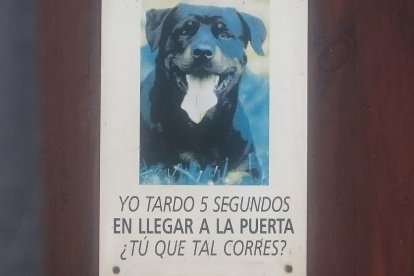 Fotos de cartells, senyals de trànsit o notificacions divertides.