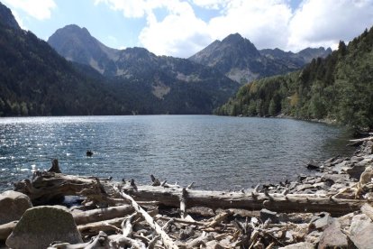 Elisabet Martín Pont