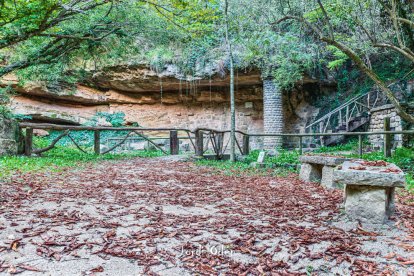 Les fulles cauen, arriba la boira i comença a fer fred...és la tardor!
