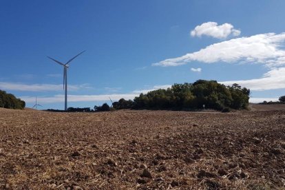 Les fulles cauen, arriba la boira i comença a fer fred...és la tardor!