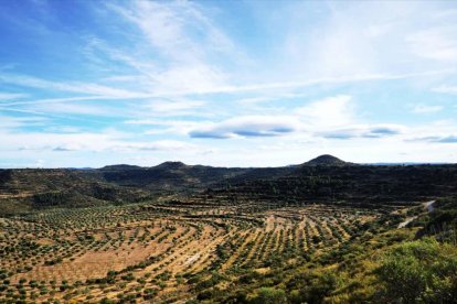 Les fulles cauen, arriba la boira i comença a fer fred...és la tardor!