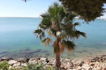 María Jose Sillue Oliver