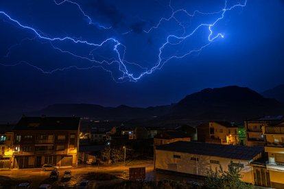 Les fulles cauen, arriba la boira i comença a fer fred...és la tardor!