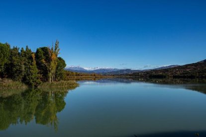 Les fulles cauen, arriba la boira i comença a fer fred...és la tardor!