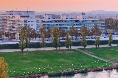 Les fulles cauen, arriba la boira i comença a fer fred...és la tardor!