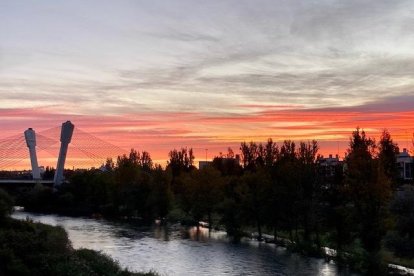Les fulles cauen, arriba la boira i comença a fer fred...és la tardor!
