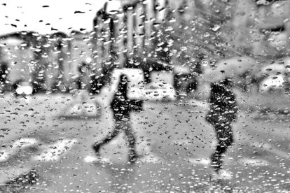 Les fulles cauen, arriba la boira i comença a fer fred...és la tardor!