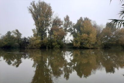 Carme Sànchez Alandi