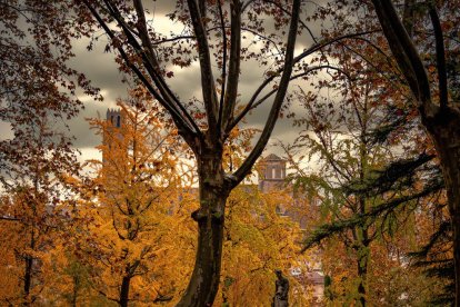 Francisco Acosta Andrés