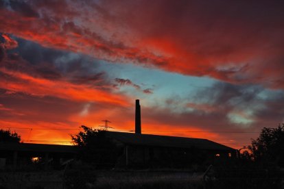 Francisco Acosta Andrés