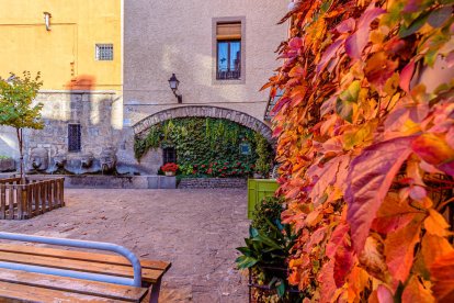 Les fulles cauen, arriba la boira i comença a fer fred...és la tardor!