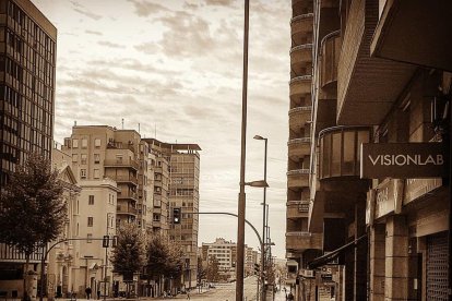 Arbres florits, camps verds i bon temps...ja és aquí la primavera!