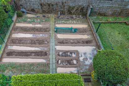 Arbres florits, camps verds i bon temps...ja és aquí la primavera!