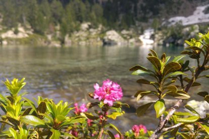 Silvia Miquel Marquez