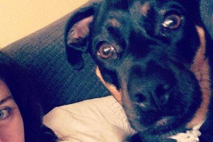 Gossos, gats, canaris, iguanes,...presenta'ns a la teva mascota!