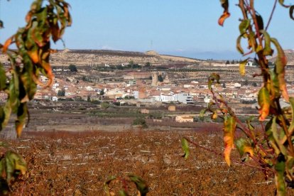 Les fulles cauen, arriba la boira i comença a fer fred...és la tardor!