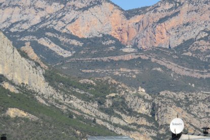 Arbres florits, camps verds i bon temps...ja és aquí la primavera!