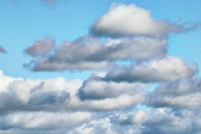 Arbres florits, camps verds i bon temps...ja és aquí la primavera!