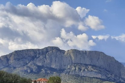 Arbres florits, camps verds i bon temps...ja és aquí la primavera!
