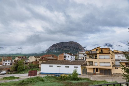 Arbres florits, camps verds i bon temps...ja és aquí la primavera!