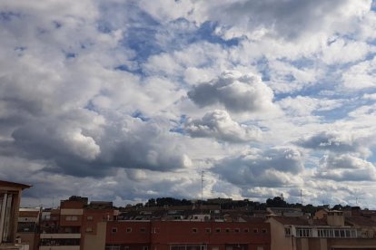 Arbres florits, camps verds i bon temps...ja és aquí la primavera!