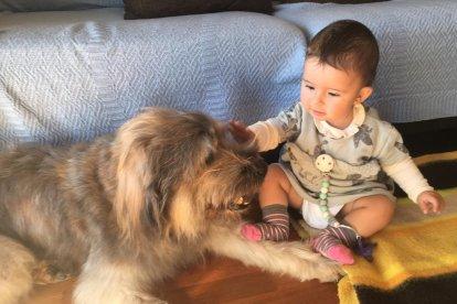 Gossos, gats, canaris, iguanes,...presenta'ns a la teva mascota!