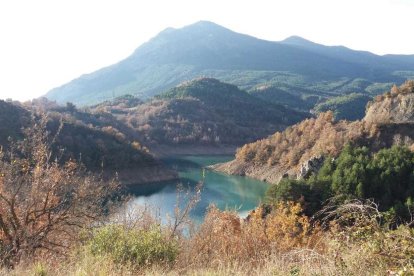 Les fulles cauen, arriba la boira i comença a fer fred...és la tardor!