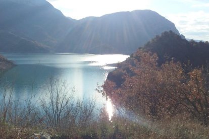 Les fulles cauen, arriba la boira i comença a fer fred...és la tardor!
