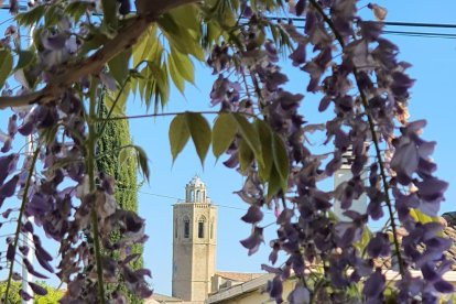 Arbres florits, camps verds i bon temps...ja és aquí la primavera!