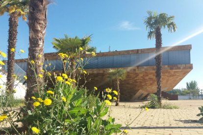 Arbres florits, camps verds i bon temps...ja és aquí la primavera!