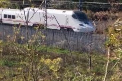 Les fulles cauen, arriba la boira i comença a fer fred...és la tardor!