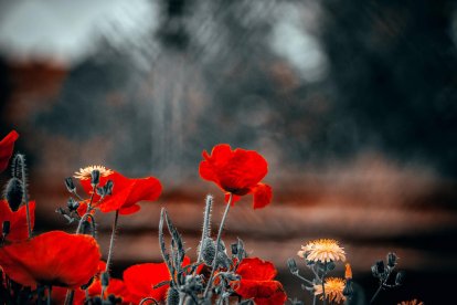 Francisco Acosta Andrés